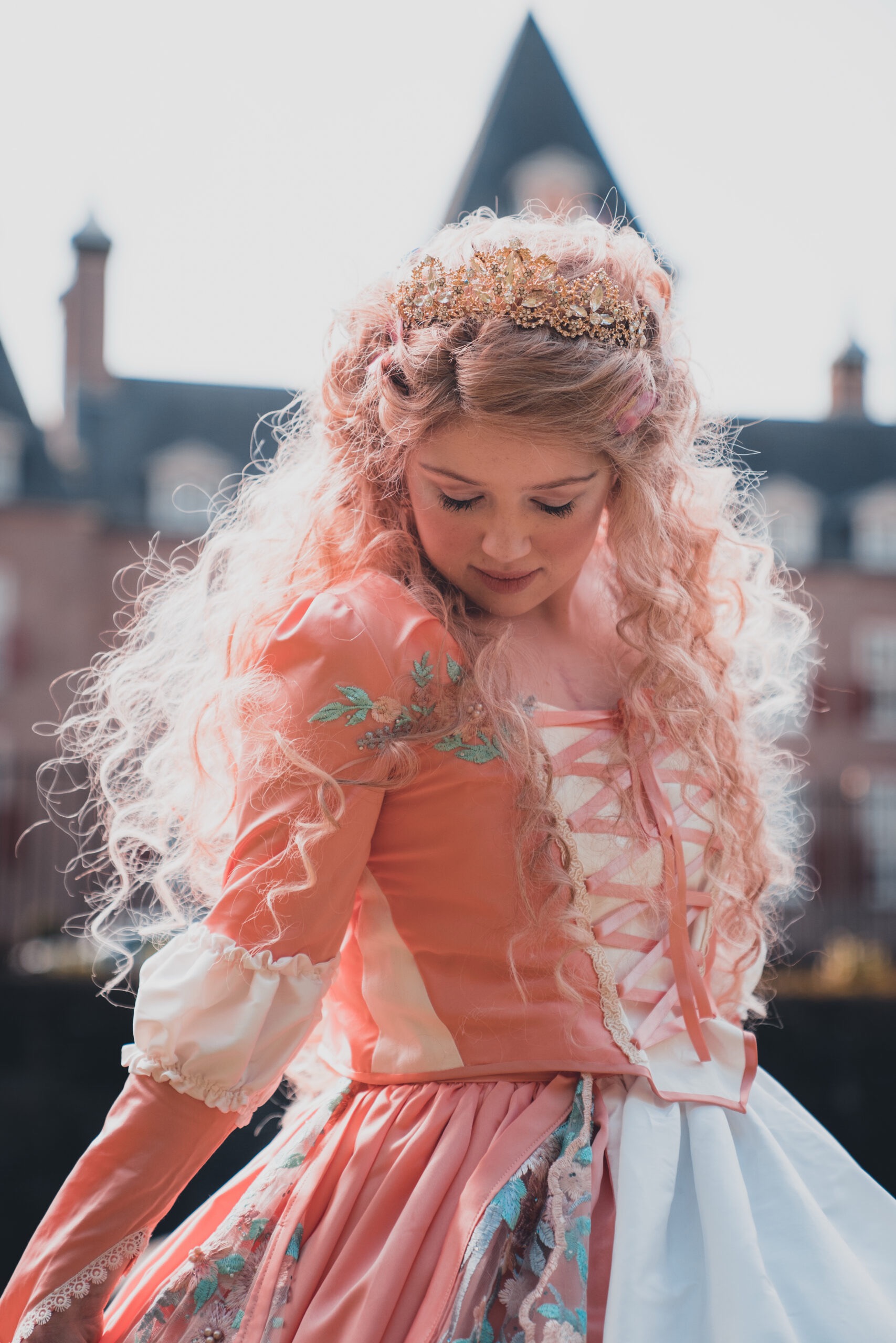 Prinses Vlinder